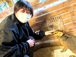 マーラ里親様決定しました(ねこのす動物保護施設)_edited.jpg