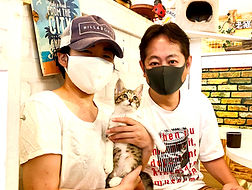 保護猫里親様決定しました.jpg