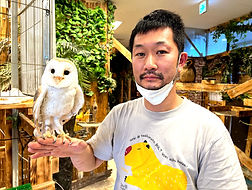 ねこのす動物保護施設(メンフクロウ里親決定しました!お迎えありがとうございました!感謝)_edited.jpg