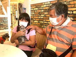 里親様8月1日ねこのす_保護猫j ネコノス