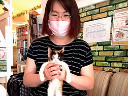 保護猫カフェねこのすでは毎日、保護猫の里親を募集しております8_edited_e