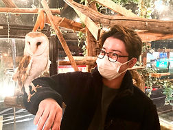 メンフクロウ里親様決定、ねこのすネコノスNEKONOS動物保護施設NFT_edited_edited.jpg