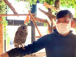 アビシニアンワシミミズク、里親様決定(ねこのす動物保護施設)_edited_edited_edited_edited_edited.jpg