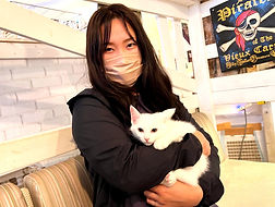 保護猫、里親様決定しました!ねこのす動物保護施設_edited.jpg