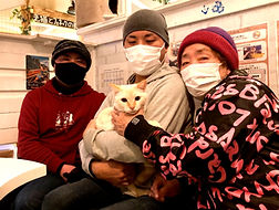 保護猫、里親様決定(ねこのす動物保護施設)NFT_edited_edited.jpg