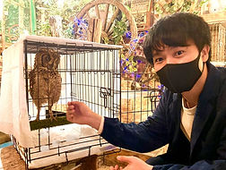 里親様にお迎えいただきました。アフリカワシミミズク、フクロウ_edited_edited.jpg