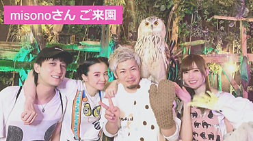 歌手のmisonoさんがご来園くださいました!ねこのす動物保護施設_edited