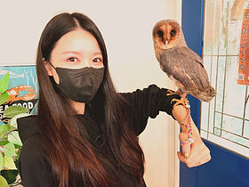 クロメンフクロウ里親様(「ねこのす」ではフクロウの里親募集も行っております!NEKONOS猫の巣、梟、保護動物)_edited_edited_edited_edited_edite