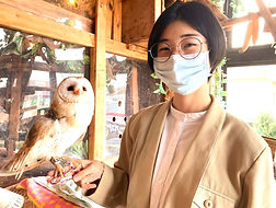 里親様、ふくろう譲渡、ねこのすNEKONOS猫の巣ネコノス動物保護施設_edited_edited_edited.jpg