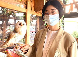 里親様、ふくろう譲渡、ねこのすNEKONOS猫の巣ネコノス動物保護施設_edited_edited_edited.jpg
