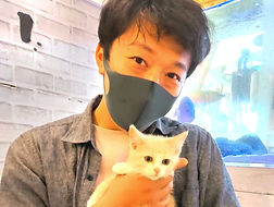保護猫カフェねこのすでは毎日、保護猫の里親を募集しております2。_edited.jpg