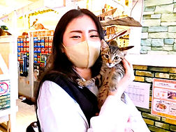 ねこのす動物保護施設、保護猫カフェねこのす、里親様決定いたしました!.jpg