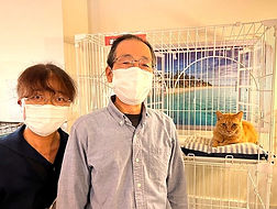 保護猫、里親様決定。ねこのすNEKONOS猫の巣は保護動物カフェです。_edited.jpg