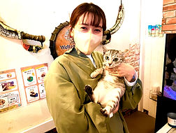 保護猫、里親様決定しました(ねこのす動物保護施設)_edited.jpg