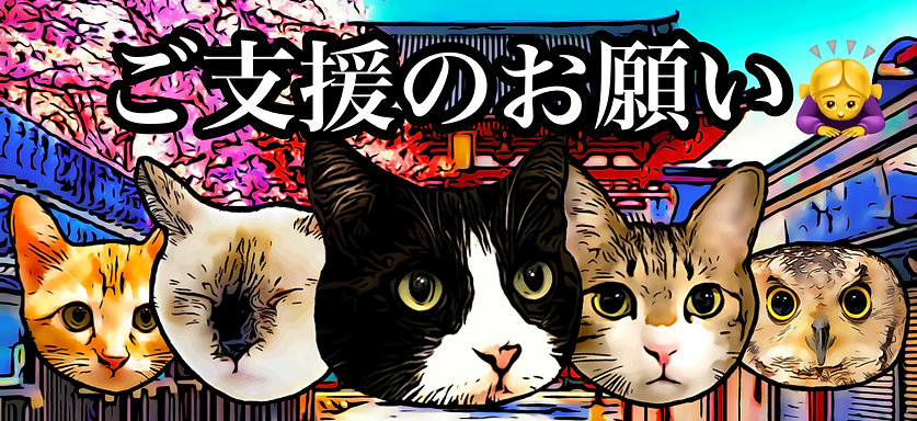保護猫100匹以上!国内最大級の保護猫カフェねこのす.PNG