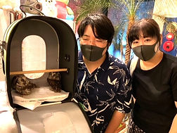 里親様に譲渡キンメフクロウ、ねこのす.jpg