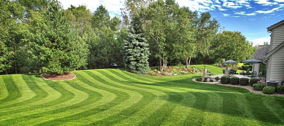 Beautiful Lawn Maintenance