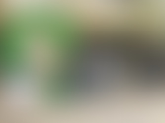 UVS Essencis Betim | Sipat 2025