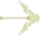Untitled design.png