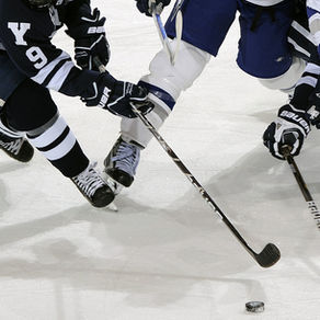 Bucket List-NHL All Star Game