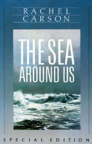 DSBC book20 cover.jpg