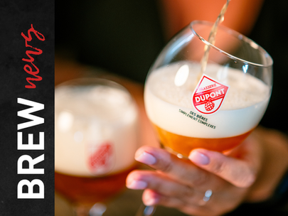 Bière de Miel Dupont: la birra belga al miele di castagno che torna dal 1880