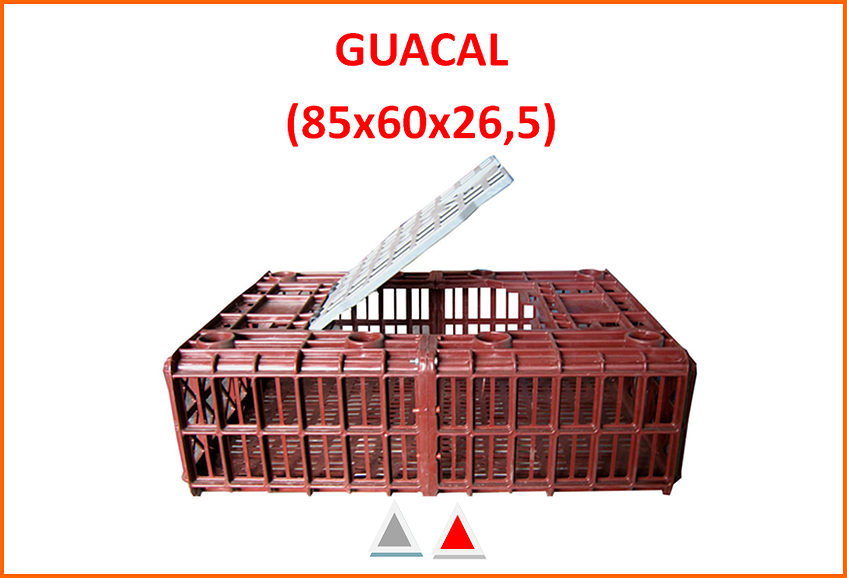 guacal para pollos bogota.png