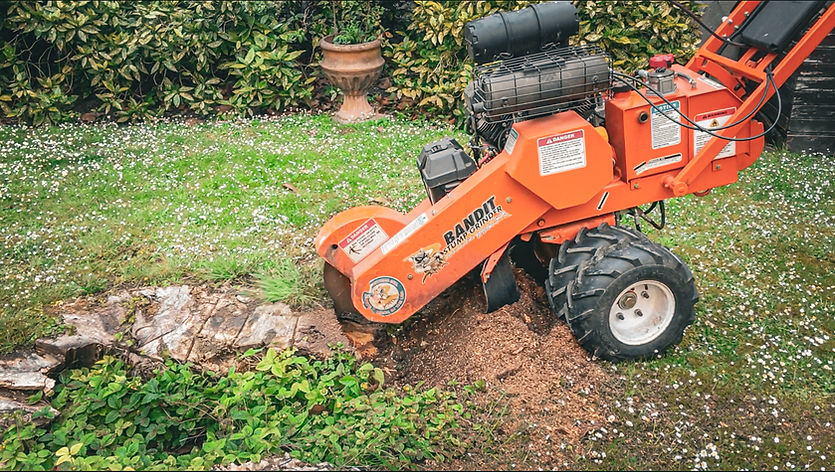 Capture d’écran 2025-07-01 à 20.35.49.jpg