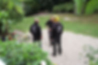 Elagage, Travaux paysagers, Expertise, Soins aux arbres, Julien PETIPAS, Rambouillet, yvelines, ile de france, Elagage raisonné, Abattage difficile, Soins aux arbres, Essouchage, Taille de haies, Taille de fruitiers, Diagnostic arboricole, Entretien de jardins, 78, 28, 95, 92, 91, centre val de loire, unep, artisan, grimpeur elagueur, souche, abattage, entreprise du paysage, perray en yvelines, territoire, parc, maladie, chenille, champignons, création, plantation, haies, paris, terrasse, végétale, végétaux