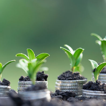 Beyond the Buyout: 5 Levers for Long-Term ESOP Sustainability