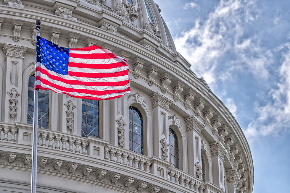U.S. capitol and American flag