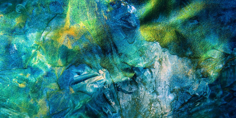 Bannière Frisette et Jardin.jpg