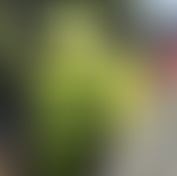 Condor's Trench Shoring and Pump on site at the Seaview Energy Resilience Project