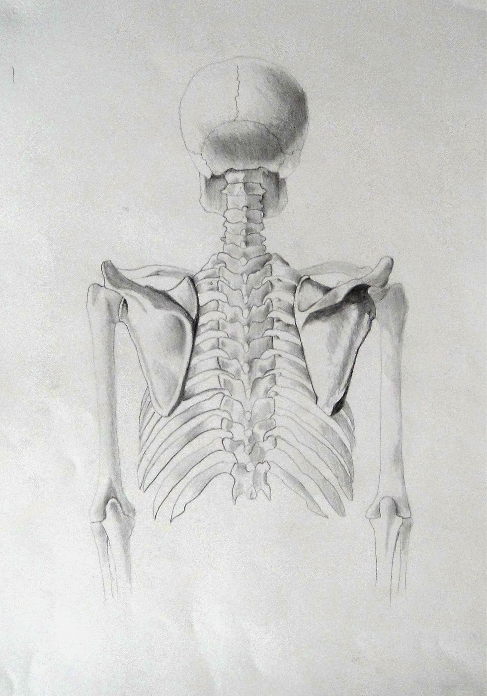 charcoal drawings