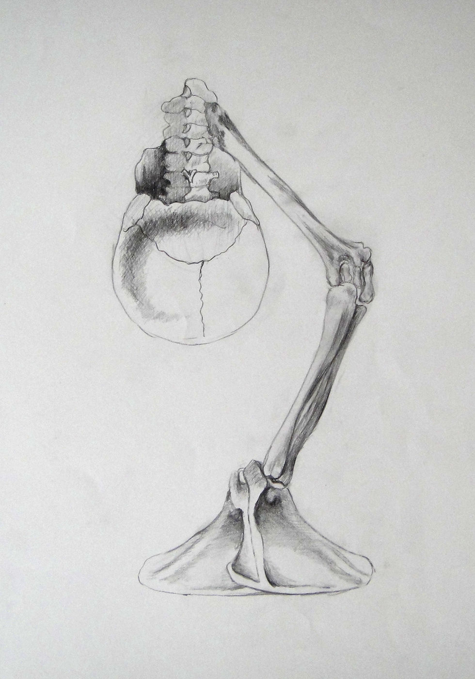 charcoal drawings