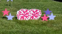 Thumbnail: Cheer WORKS Package