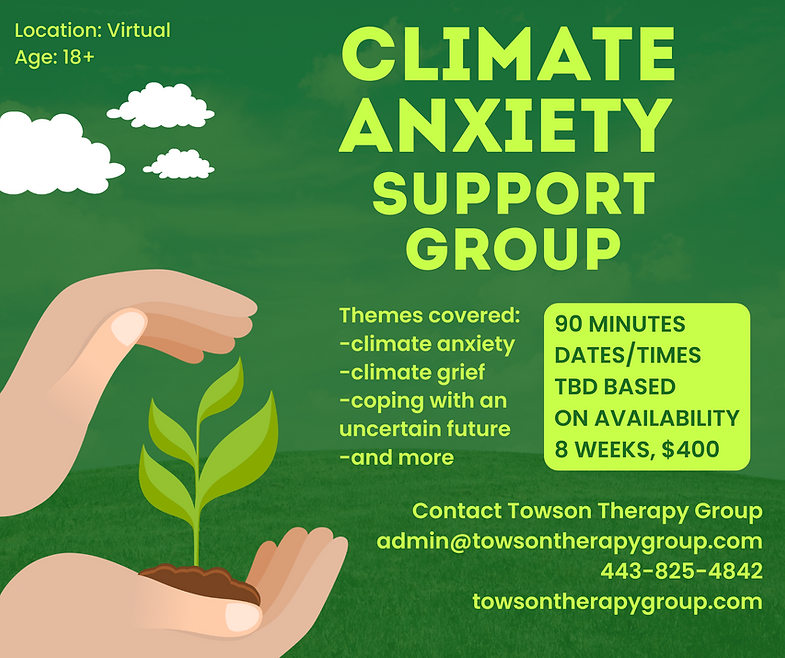 Climate Therapy Group.png