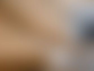 המדריך המלא למדרגות עץ: מסוגי העצים ועד שיטות ההתקנה המתקדמות