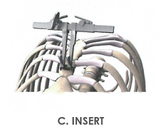 C. INSERT.png