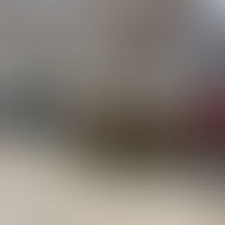 Revamping Retail: Changes in Lake Success Shopping Center