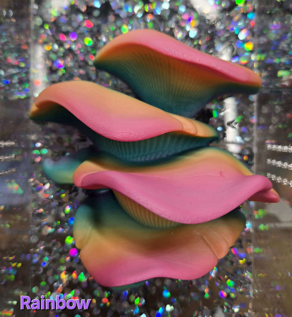 Large Multi Layer Jumping Spider Mushrooms