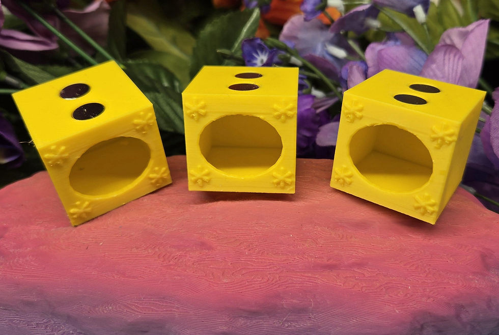 Thumbnail: Cube Jumping Spider Hide