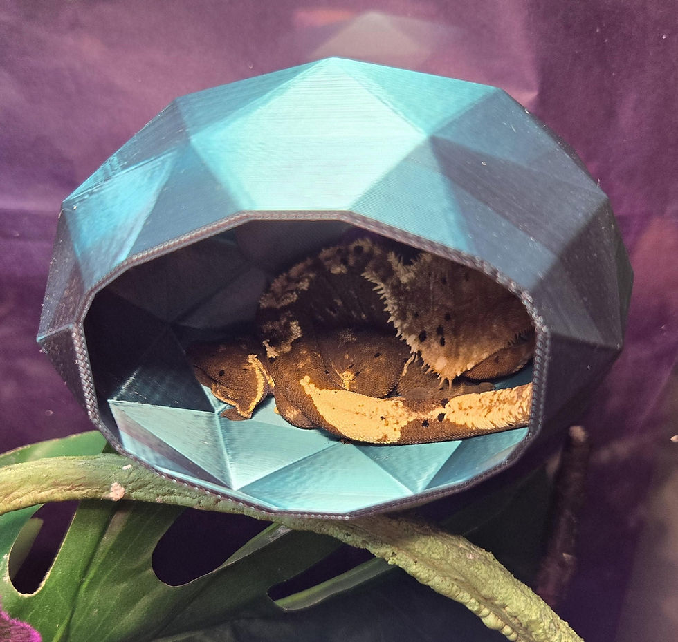 Pixelated Hide Medium Pixel Bubble Loft Hide for geckos, amphibians, lizards ...