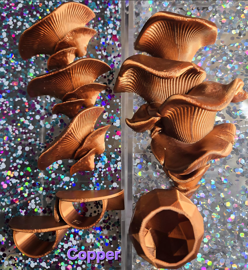 Thumbnail: Jumping Spider Decor Bundles