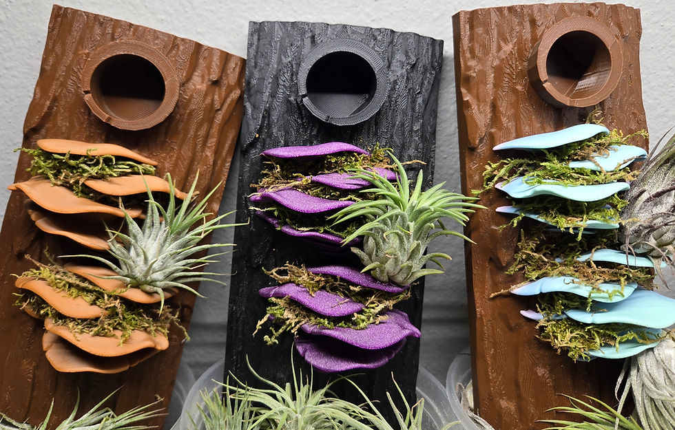 3D Bark Spider Enclosure Background