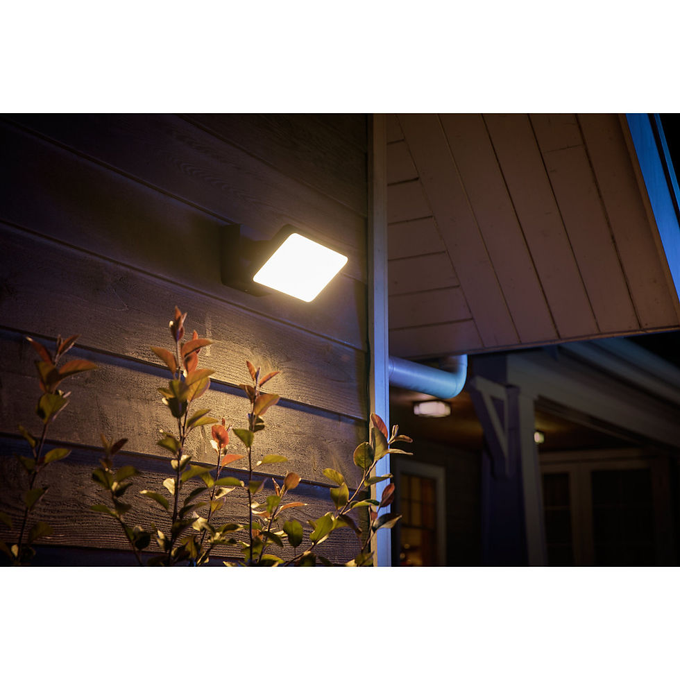 Thumbnail: Philips Hue Outdoor Floodlight
