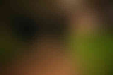 Participants in formal attire walking along a dimly lit path outside an Oxford college after an evening event.