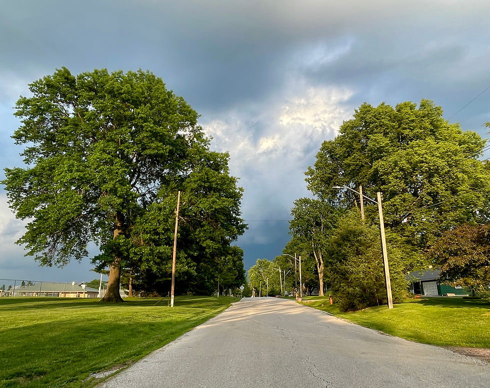 A quiet road lined with tall green trees under a dramatic sky in Kansas City, Missouri