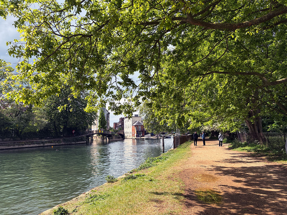 Tree-lined walking path beside a calm river in Oxford with sunlight filtering through the branches.