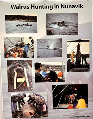 Poster showing images of walrus hunting practices in Nunavik, including boats, hunters, and community meat processing.